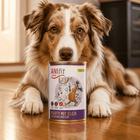 Dog Accessories Wet pet food Party with elk (Party mit Elch) 400g 6 Piece -2- Anifit