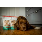 Hund Nassfutter Schonkost Hund Schonkost Huhn/Reis 50g 1 Stück -4- Anifit